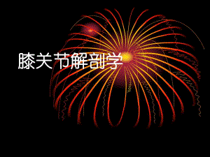 膝关节解剖学.ppt1.ppt