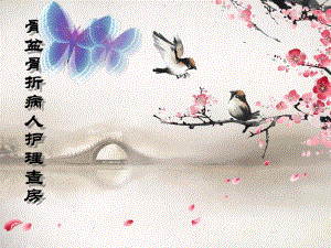 骨盆骨折的护理查房.ppt