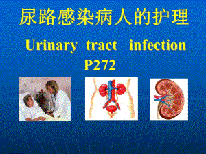尿路感染病人的护理.ppt