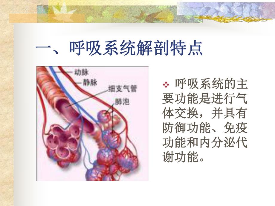 呼吸系统疾病常见症状体征的护理.ppt_第3页