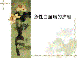 急性白血病的护理.ppt