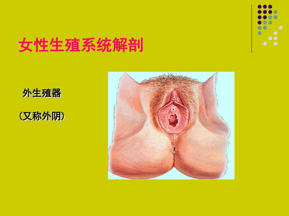 常见宫颈疾病的预防和护理.ppt_第2页