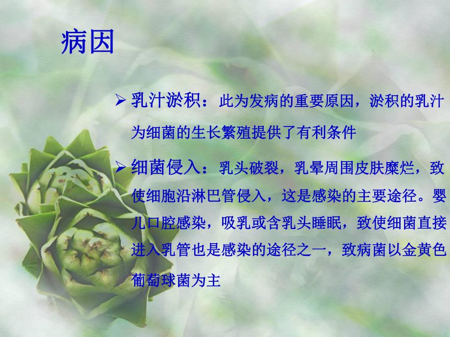 急性乳腺炎病人的护理.ppt.ppt_第3页