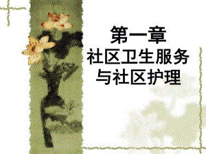 社区卫生服务与社区护理.ppt
