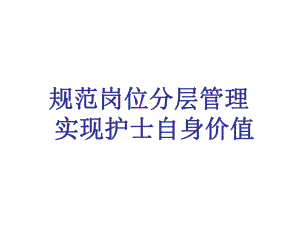 护士岗位分层管理.ppt