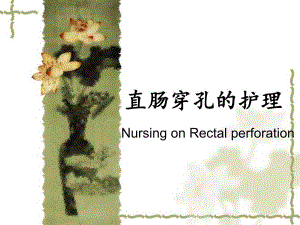 直肠穿孔的护理查房.ppt