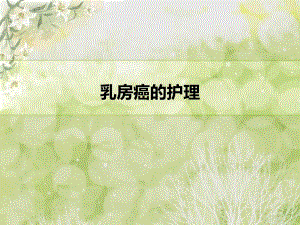 乳房癌的护理.ppt