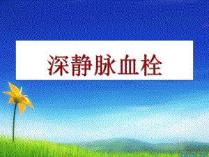 深静脉血栓的护理 要点.ppt