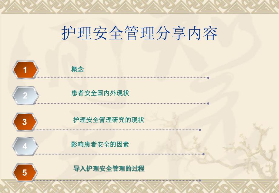 护理安全管理.ppt_第2页