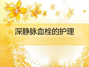深静脉血栓形成护理.ppt