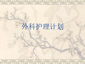 护理诊断.ppt