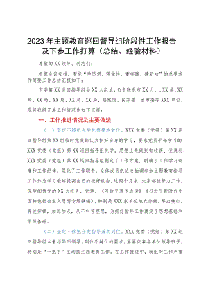 2023年主题教育巡回督导组阶段性工作报告及下步工作打算.docx
