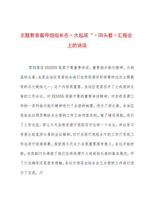 主题教育督导组组长在“大起底”“回头看”汇报会上的讲话.docx