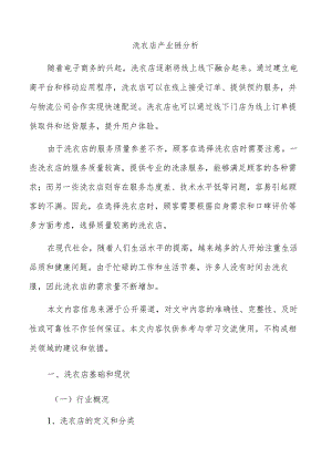 洗衣店产业链分析.docx