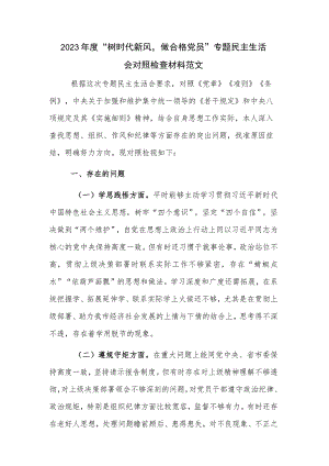 2023年度“树时代新风,做合格党员”专题民主生活会对照检查材料范文.docx