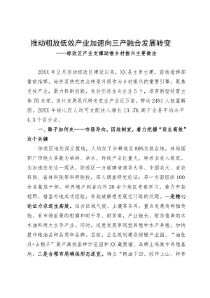 产业振兴情况汇报.docx