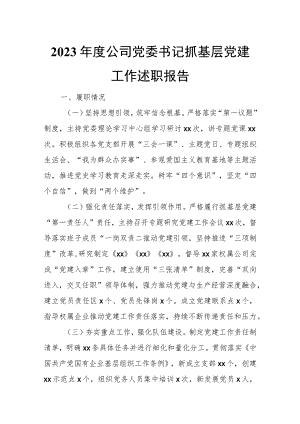 2023年度公司党委书记抓基层党建工作述职报告.docx