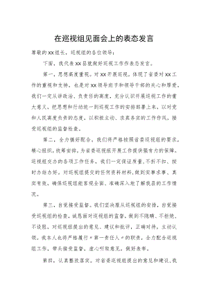 在巡视组见面会上的表态发言.docx