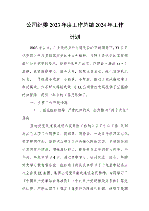 公司纪委2023年度工作总结2024年工作计划.docx