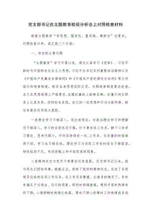 党支部书记在主题教育检视分析会上对照检查材料参考范文.docx