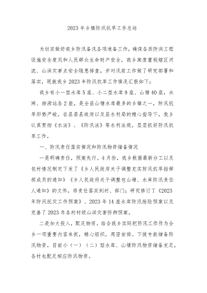 2023年乡镇防汛抗旱工作总结.docx