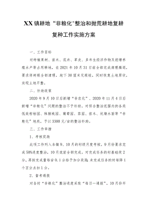 XX镇耕地“非粮化”整治和抛荒耕地复耕复种工作实施方案.docx