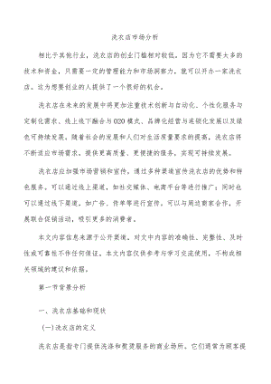 洗衣店市场分析.docx