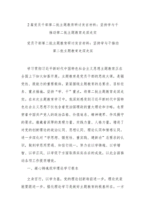 2篇党员干部第二批主题教育研讨发言材料：坚持学与干 推动第二批主题教育走深走实.docx