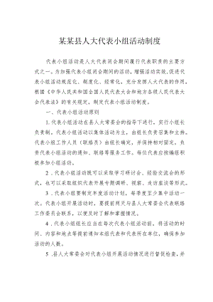 某某县人大代表小组活动制度.docx
