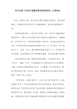 学习五篇《年轻干部廉洁教育案例读本》心得体会.docx