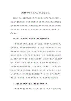 2023年学校党建工作总结汇报.docx