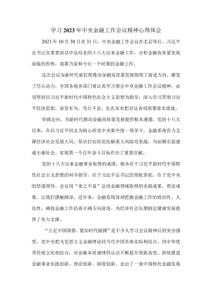 学习2023年中央金融工作会议精神心得体会四.docx