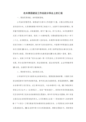 在共青团建设工作经验分享会上的汇报.docx