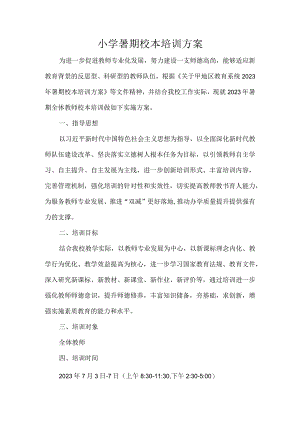 小学暑期校本培训方案.docx