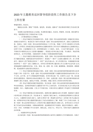2023年主题教育巡回督导组阶段性工作报告及下步工作打算.docx