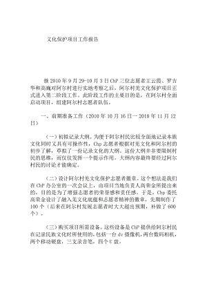文化保护项目工作报告.docx