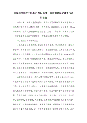 公司项目部党支部书记2024年第一季度抓基层党建工作述职报告.docx