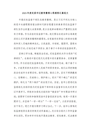 2023年度纪委书记教育整顿心得感悟汇篇范文.docx