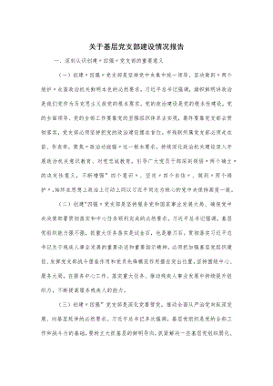 关于基层党支部建设情况报告.docx