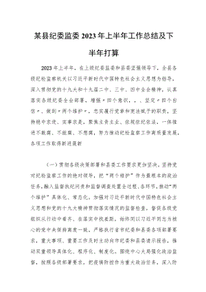 某县纪委监委2023年上半年工作总结及下半年打算.docx