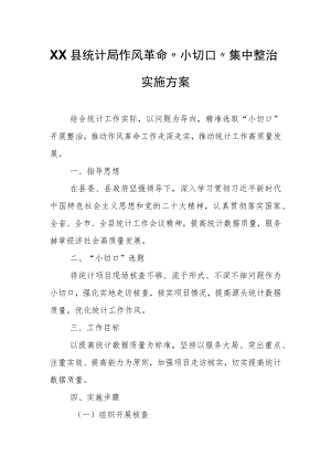 XX县统计局作风革命“小切口”集中整治实施方案.docx