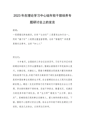2023年在理论学习中心组年轻干部培养专题研讨会上的发言.docx