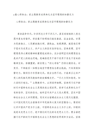 2篇心得体会：把主题教育成果转化为坚守理想的如磐定力.docx