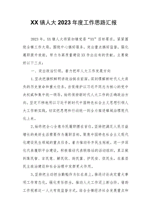 XX镇人大2023年度工作思路汇报.docx