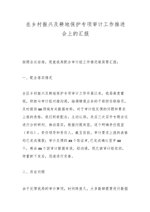 在乡村振兴及耕地保护专项审计工作推进会上的汇报.docx