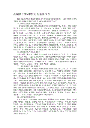 副镇长2023年度述责述廉报告.docx