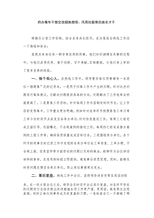 府办青年干部交流锻炼感悟：风雨壮筋骨历练长才千.docx