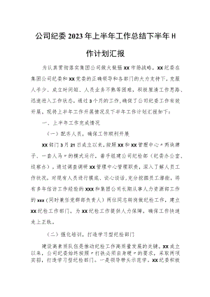 公司纪委2023年上半年工作总结下半年工作计划汇报.docx