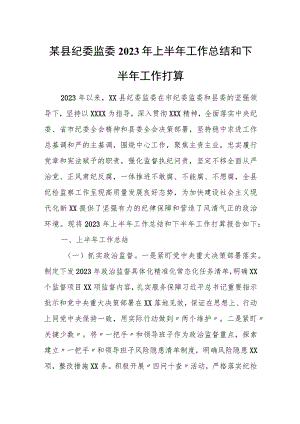 某县纪委监委2023年上半年工作总结和下半年工作打算.docx