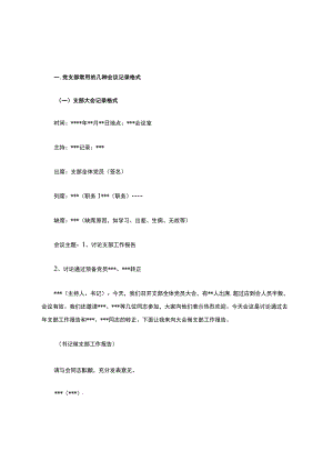 支部会议记录格式范文.docx
